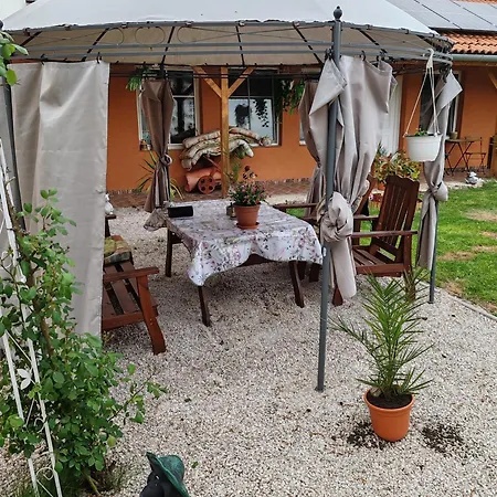 Zeg-zug Vendeghaz Guest house Nemesded