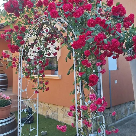 Zeg-zug Vendeghaz Pensionat Nemesded