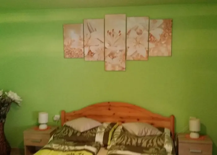 Zeg-zug Vendeghaz * Nemesded