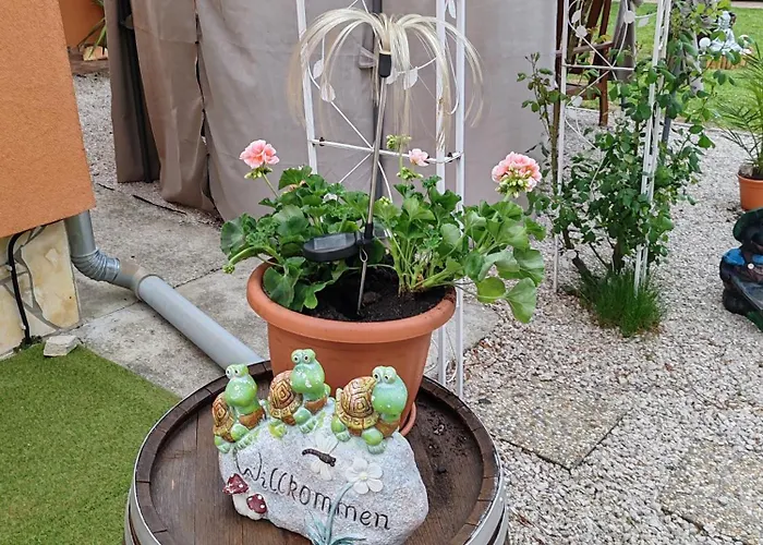 Pensionat Zeg-zug Vendeghaz *