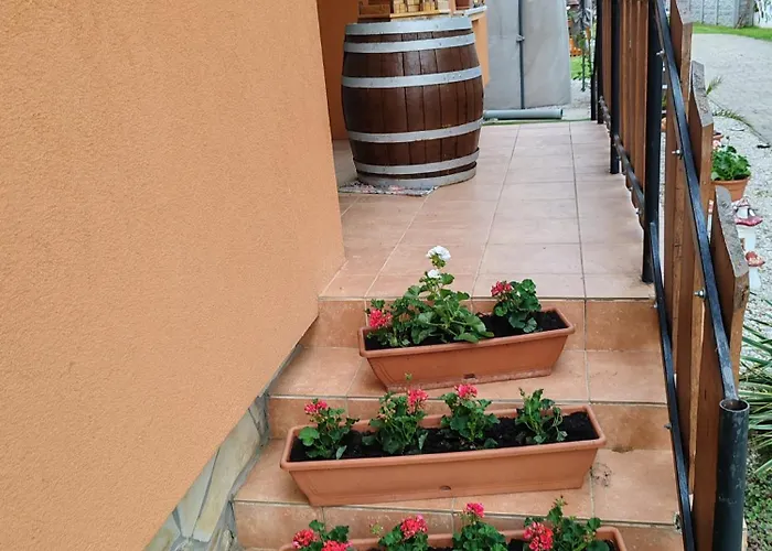 Pensionat Zeg-zug Vendeghaz *