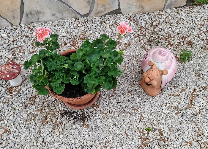 Zeg-zug Vendeghaz Pensionat Nemesded