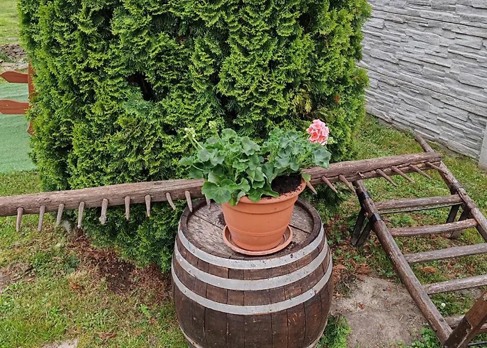 Zeg-zug Vendeghaz Nemesded