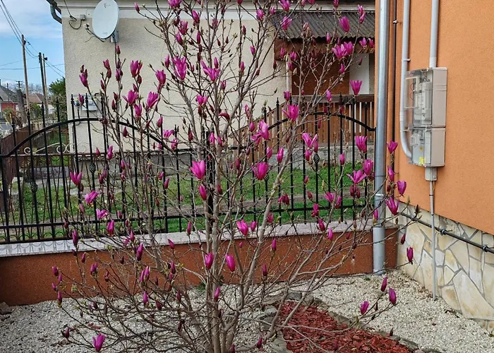 Pensionat Zeg-zug Vendeghaz