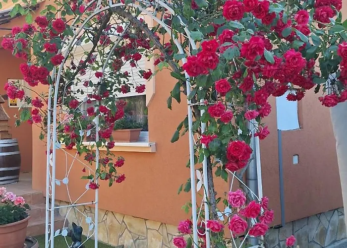 Zeg-zug Vendeghaz Pensionat Nemesded